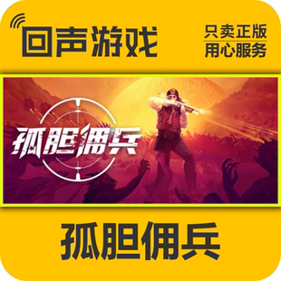 激活入库 Gun 国区 Son cdkey 激活码 孤胆佣兵 正版 Steam
