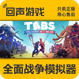 Simulator Battle Steam正版 国区k全面战争模拟器TotallyAccurate