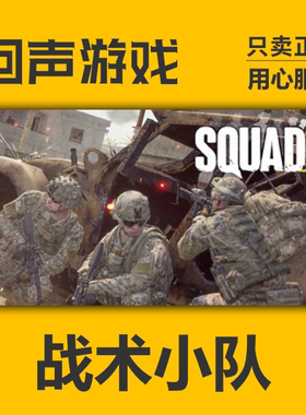 Steam 正版 国区 战术小队 豪华版 cdkey 激活入库 Squad
