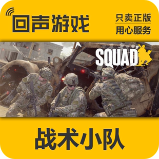 战术小队 国区 豪华版 cdkey Squad Steam 激活入库 正版