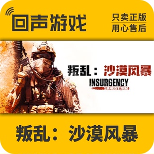 Steam正版国区 叛乱沙漠风暴 Insurgency Sandstorm 中文激活码