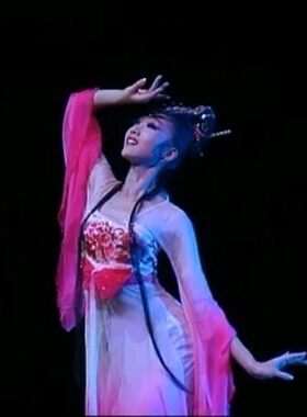 古典舞民族风桃李杯演出服饰