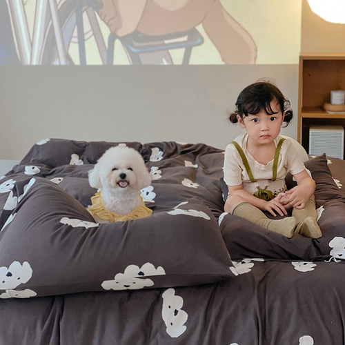 顺丰包邮A类全棉天竺棉四件套