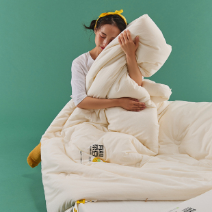 秋冬保暖20%大豆被 暖气房双人春秋被单人被芯 A类全棉水洗棉冬被