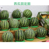 塑料圆形水果固定垫西瓜圈哈密瓜圈篮球摆放座投掷套圈放圈玩具