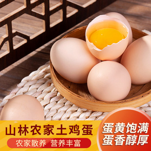 鸡蛋农家山林散养新鲜土鸡蛋谷物跑山鸡4 枚 45g 40枚整箱 35g