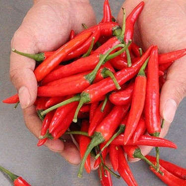 现摘现发新鲜小米辣朝天椒魔鬼红辣椒特辣5斤整箱包邮农家蔬果1斤