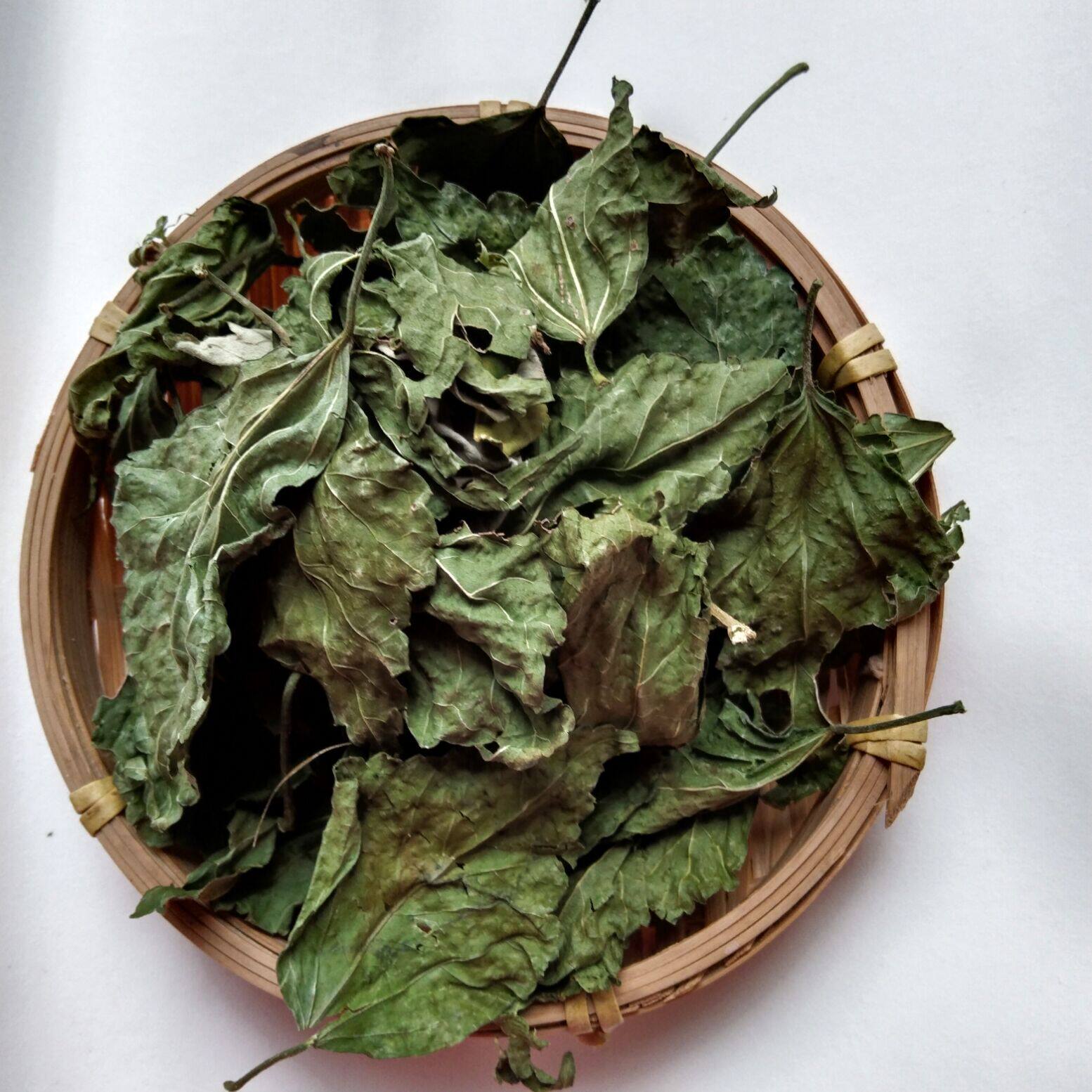 正品中药材木槿叶木锦叶子 木槿叶洗头500克包邮 木槿叶洗头包