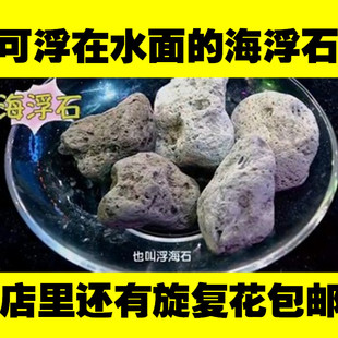 海浮石500克20元包邮店里还有旋复花