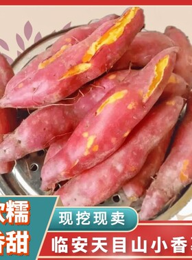 临安现挖金手指迷你小香薯