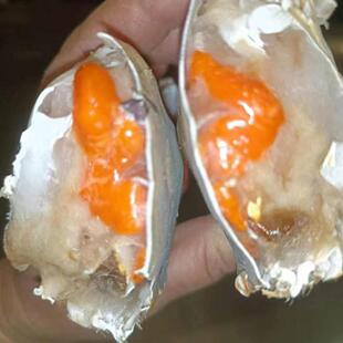 福建特产大红膏三眼蟹冻蟹膏蟹青蟹大螃蟹青蟹肉带箱7斤约15-17只