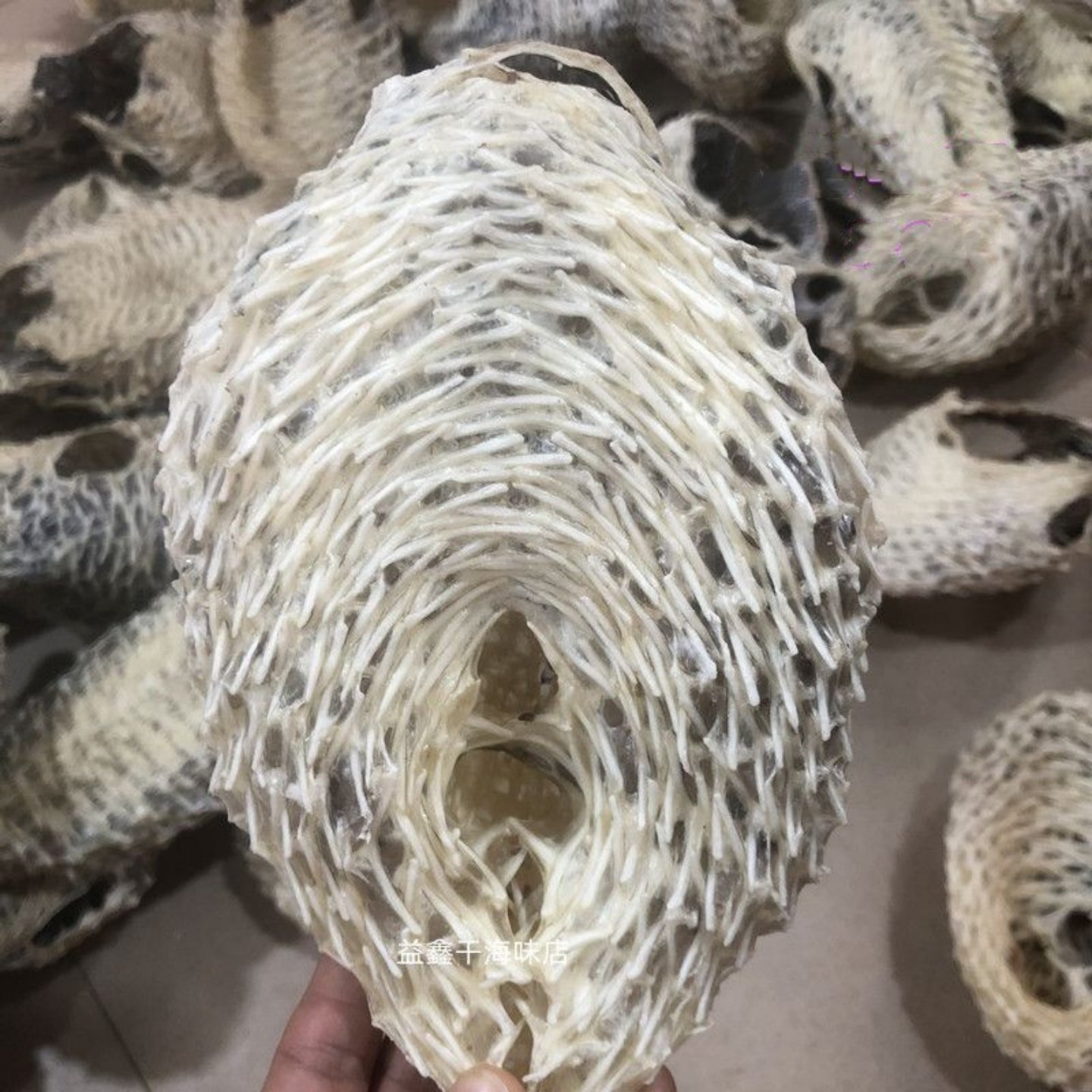 靓大刺龟鱼皮刺豚皮刺鲍鱼海胆皮煲汤暖胃胶质多海鲜干货500克,水产肉类/新鲜蔬果/熟食,鱼干,淘宝优惠券,粉丝福利购,淘宝优惠卷