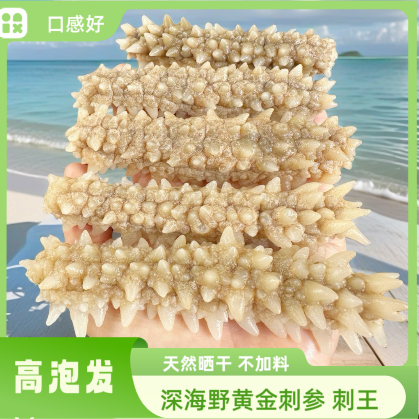 淡干海参黄金刺参刺王参黄肉参黄玉参白刺参煲汤滋补野生海参干货