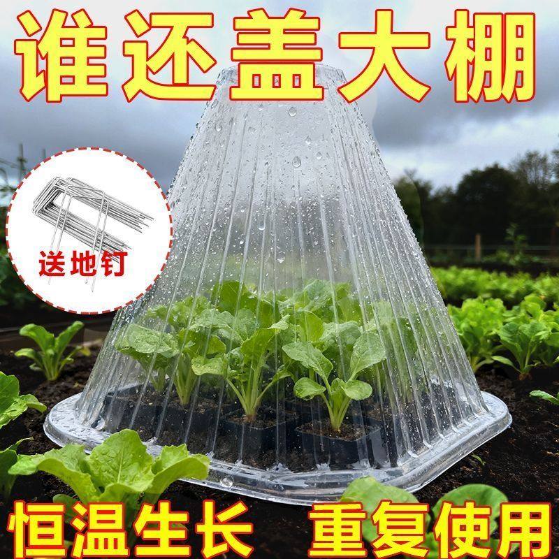 蔬菜植物罩防虫防鸟瓜苗菜苗幼苗育苗秧苗大棚育苗保温防霜保护罩