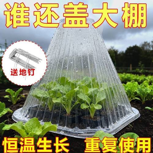 蔬菜育苗防虫防鸟保温防霜罩