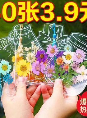 干花书签手工diy材料透明标本瓶子里的春天自制压花植物花小学生