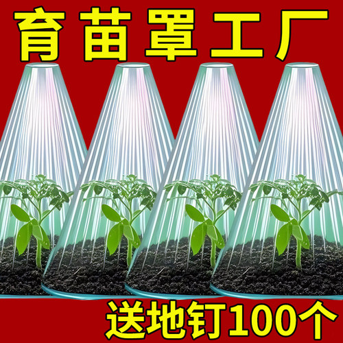 【保温防虫防鸟防霜】育苗大棚