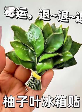 柚子叶冰箱贴去晦气磁贴转运个性创意磁吸装饰可爱趣味高级亚克力