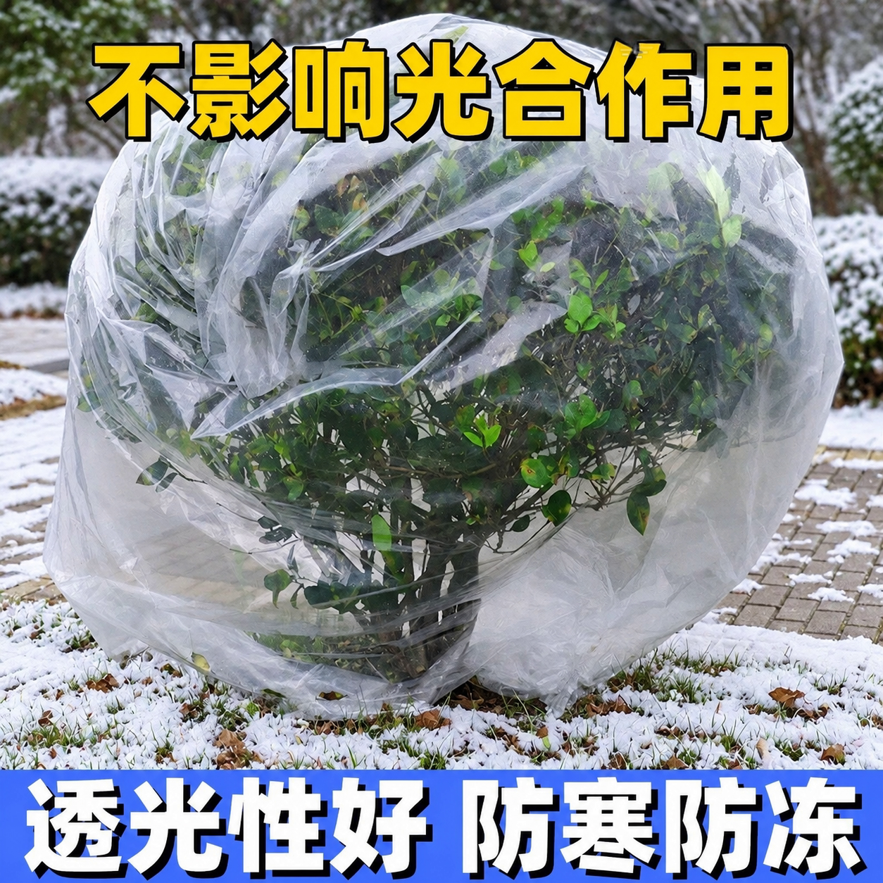 绿植盆栽过冬透明防冻保温袋