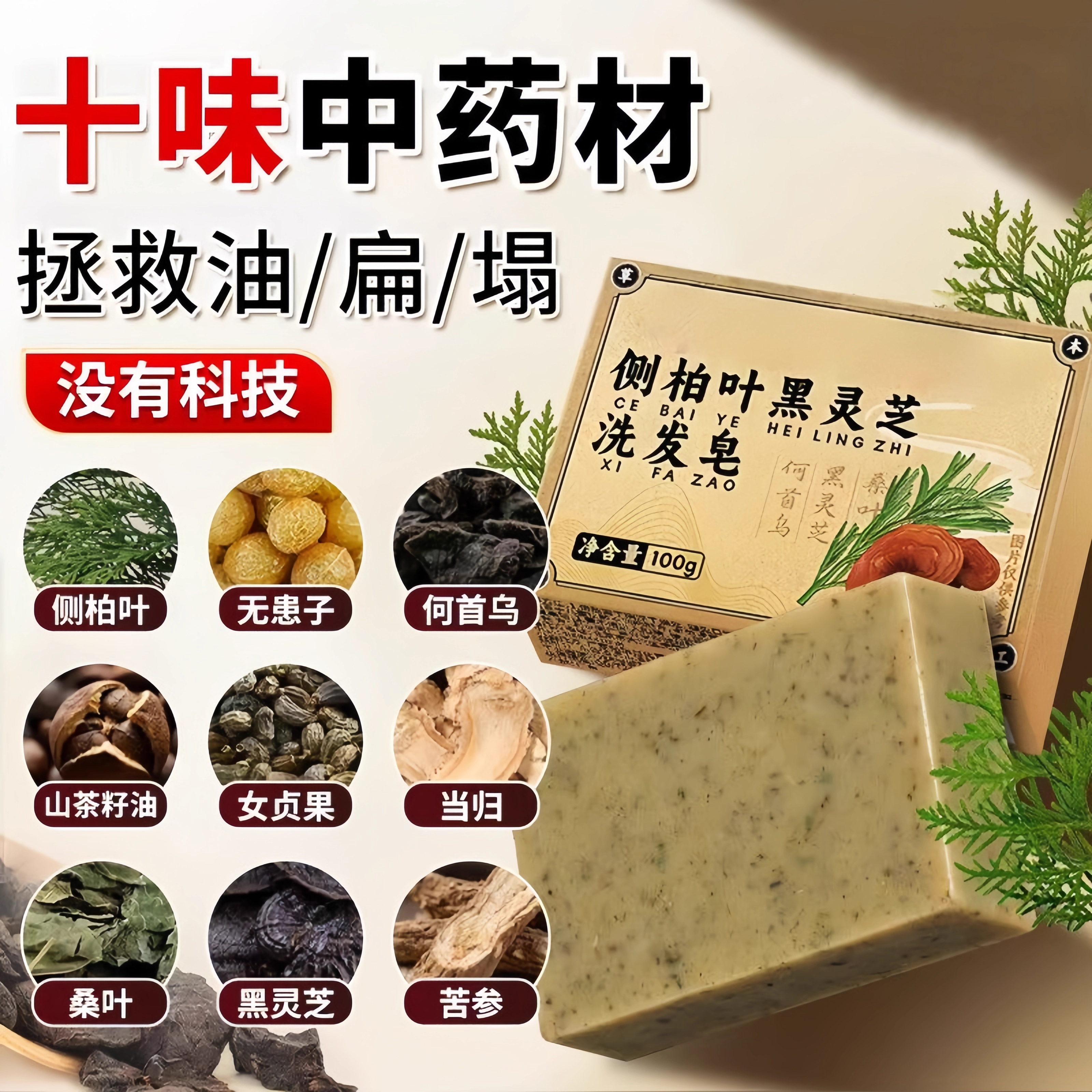 侧柏叶何首乌无患子皂角茶油发皂