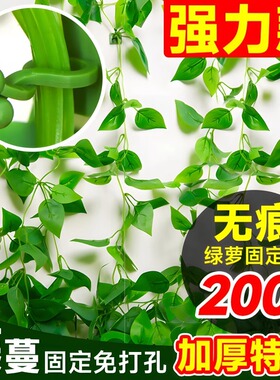 绿萝爬墙固定器绿植攀爬绿植爬墙神器夹子墙上无痕挂钩粘爬藤杆子