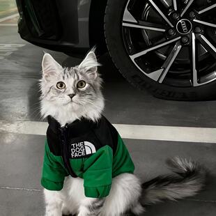 公猫冬季帅气猫咪衣服蓝猫暹罗猫缅因猫小猫狸花猫银渐层豹猫保暖