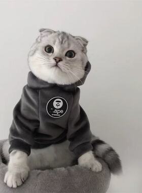 宠物猫咪衣服公猫帅气春秋款英短蓝猫布偶猫银渐层暹罗猫加厚卫衣