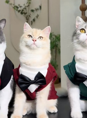 猫咪衣服公猫帅气西装礼服小猫幼猫蓝猫缅因猫银渐层暹罗猫秋冬装