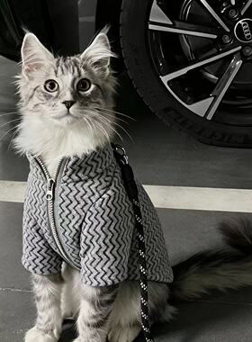 猫咪衣服公猫帅气蓝猫暹罗猫缅因猫小猫银渐层豹猫橘猫秋冬装保暖