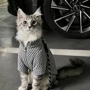 猫咪衣服公猫帅气蓝猫暹罗猫缅因猫小猫银渐层豹猫橘猫秋冬装保暖
