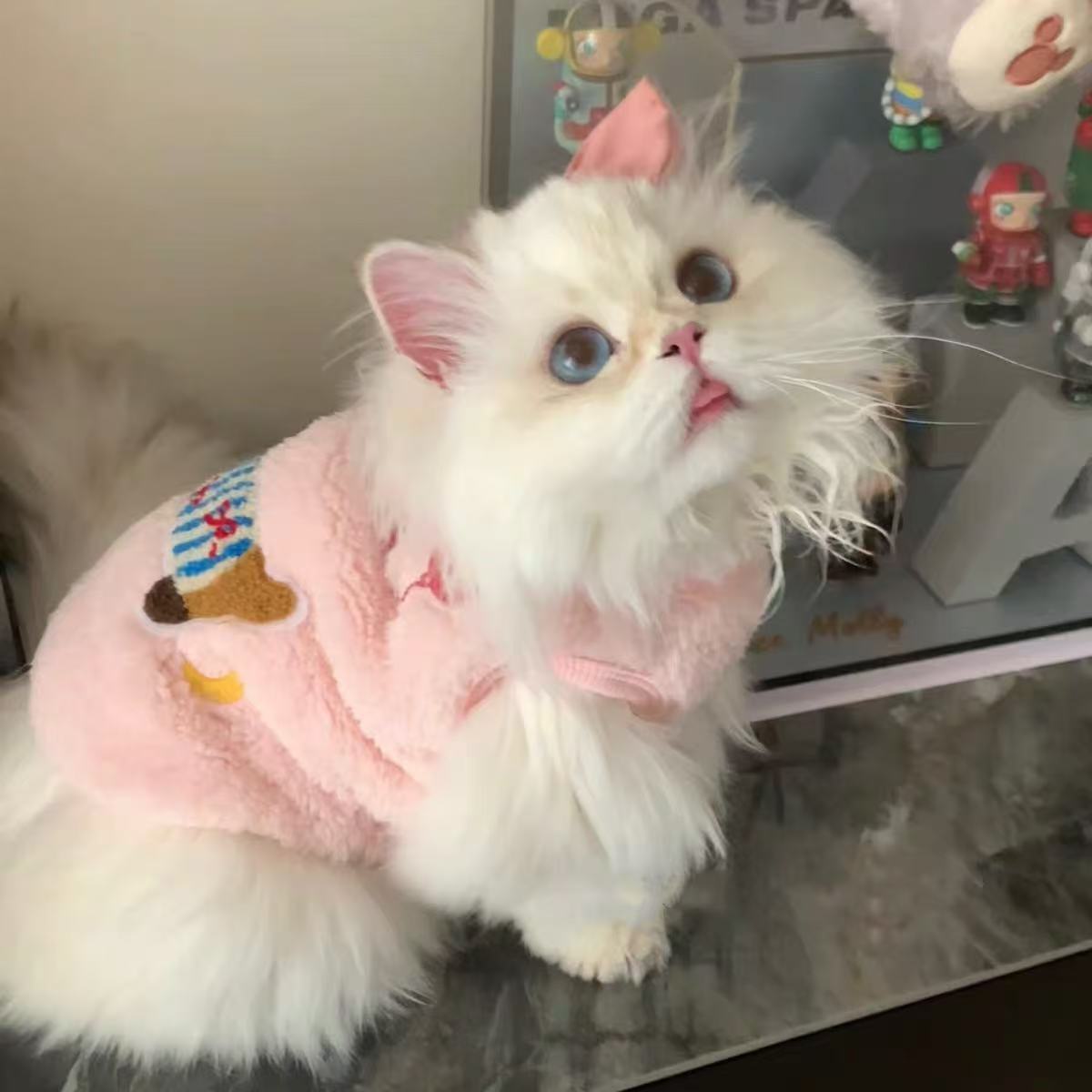宠物猫咪衣服春秋款布偶猫加菲猫矮脚猫暹罗猫蓝猫小猫防掉毛可爱