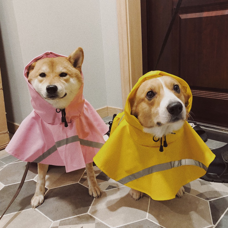 大狗狗防水柴犬柯基中型大型犬边牧阿拉斯加专用衣服雨天斗篷雨衣|msdalam kategori haiwan peliharaan/makanan haiwan dan bekalan, Haiwan pakaian dan aksesori, haiwan pakaian/baju hujan - dari Buy2taobao.com untuk memberikan perkhidmatan ejen Taobao profesional membeli