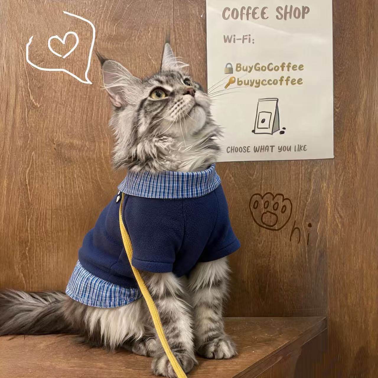 猫咪衣服春秋款公猫帅气蓝猫暹罗猫缅因猫小猫银渐层豹猫秋冬卫衣图片