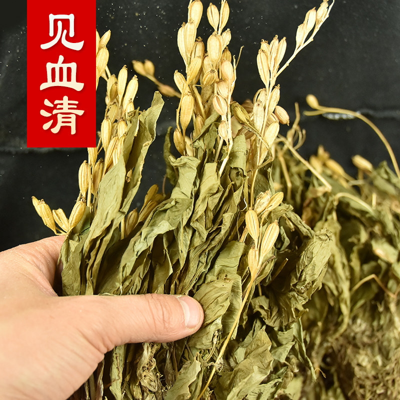 见血清 中药材 见血青 干货带根 干净水洗 羊耳蒜 250克包邮 冷背