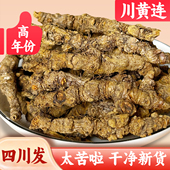 四川黄连新货峨眉黄连根单枝连黄莲整根中药材雅连单支黄连厚朴