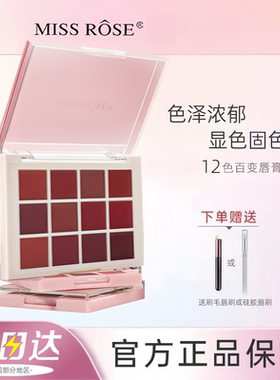 MISSROSE十二色口红盘雾面丝绒哑光唇膏多色调唇膏舞台装演出化妆