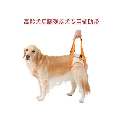 petio介护残疾受伤老龄牵引绳