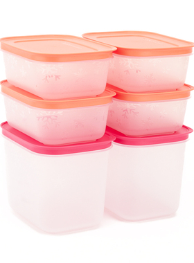 特百惠 雪影新冷冻保鲜盒套装 冰箱冷藏收纳盒干果零食蔬菜储藏盒