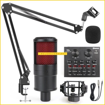 Profession studio Microphone for PC Computer Recording Home
