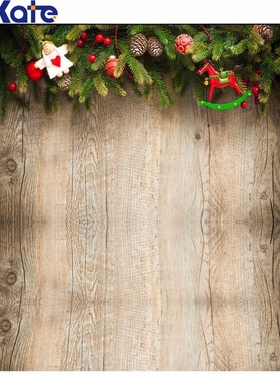 Kate Wood wall photography backdrops small red horse toy bab