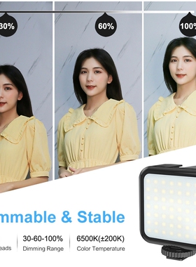 PULUZ 3W Camera Fill Light 49 Lamp Beads Dimmable Brightnes