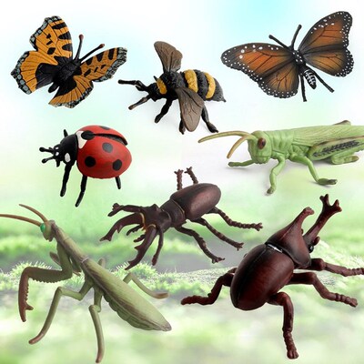 Educational Toys 8PCS Simulation Insect Model Children'S