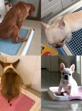 dog pee mat, pet/cat pad,urine,shit dog diapers bsorbent pad