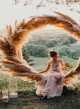 15 pieces Natural Dried Pampas Grass Phragmites Communis Ree