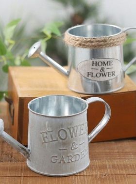 Small Size Cute Vintage Bucket Flower Pot Planter Succulent