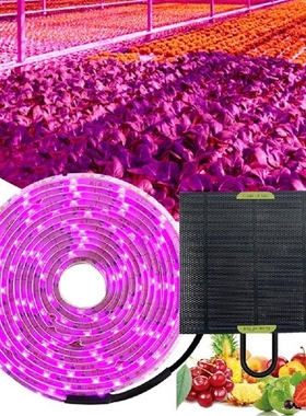 USB LED Grow Light Full Spectrum 5m Solar Panel Full Spectru