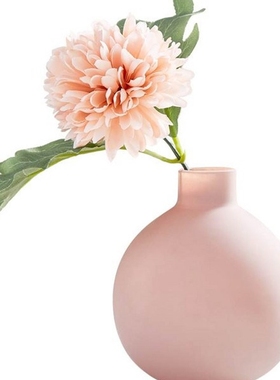 Contracted color transparent glass vases, flower arranging