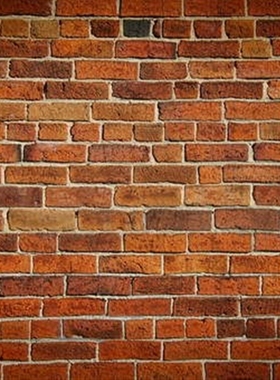 7X5ft Bricks Wall Board Wallpaper Children Photography Back