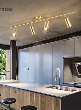 TRAZOS LED Ceiling Lights Living room Lamp Gold Black Nordic