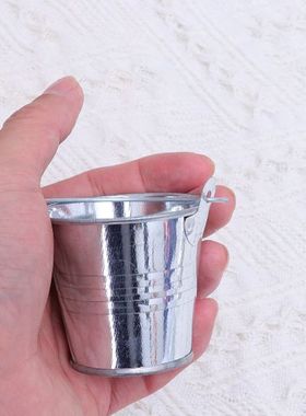 24pcs Tinplate Mini Metal Bucket Flower Pots Home